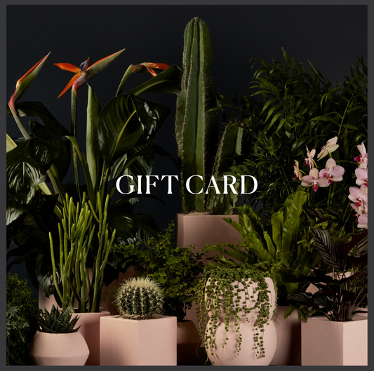 The Indigenous Garden Gift Card
