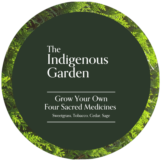 THE INDIGENOUS GARDEN Grow Your Own Four Sacred Medicines
